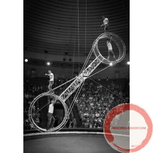 PRICE ON REQUEST. The American wheel of death (2-arms swing) Suspended