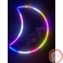 LED Aerial Lyra hoop   (Please Contact for Price and Availability)