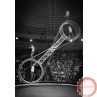 PRICE ON REQUEST. The American wheel of death (2-arms swing) Suspended - Photo 3