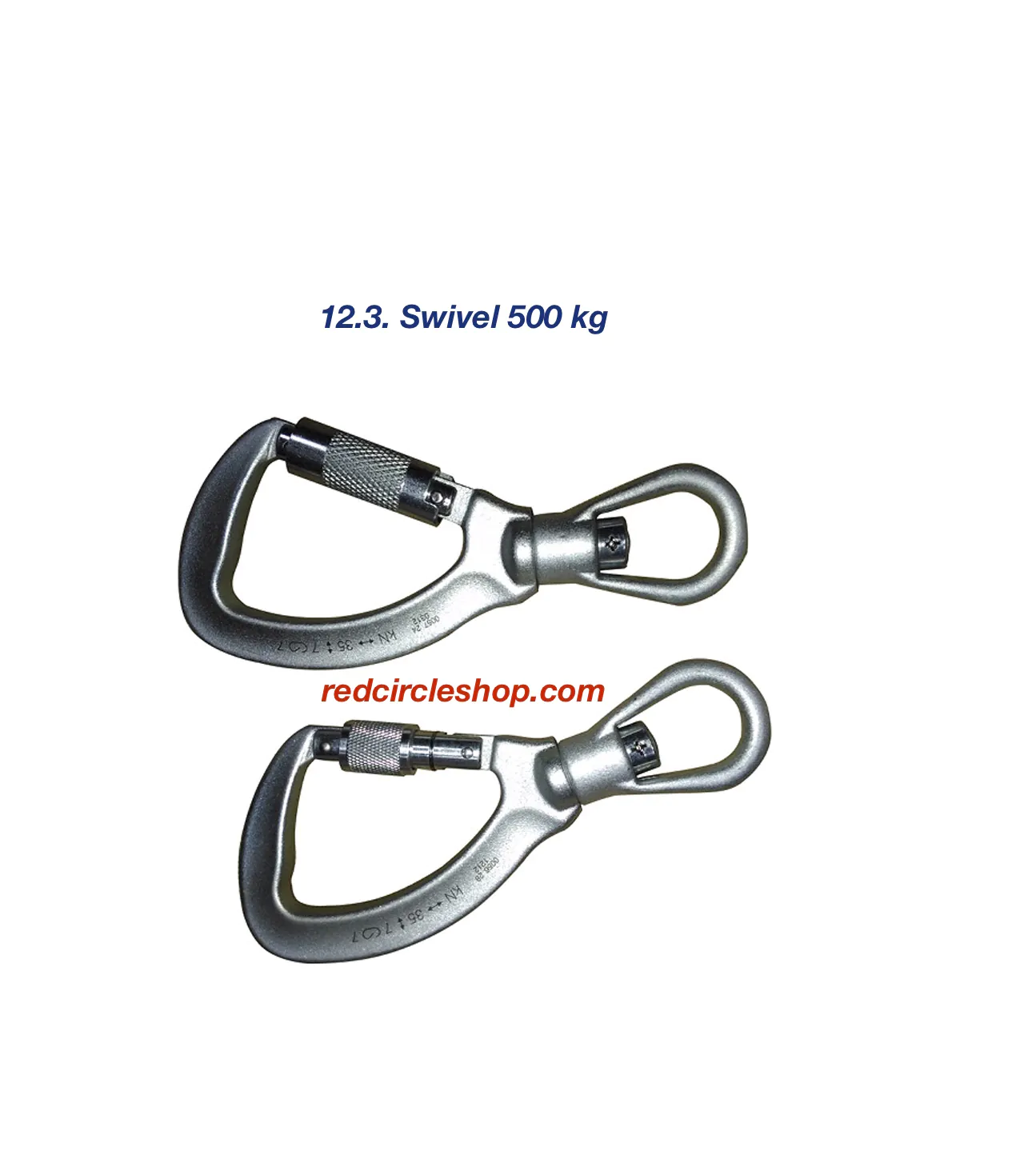 12.3._swivel_500_kg.jpg