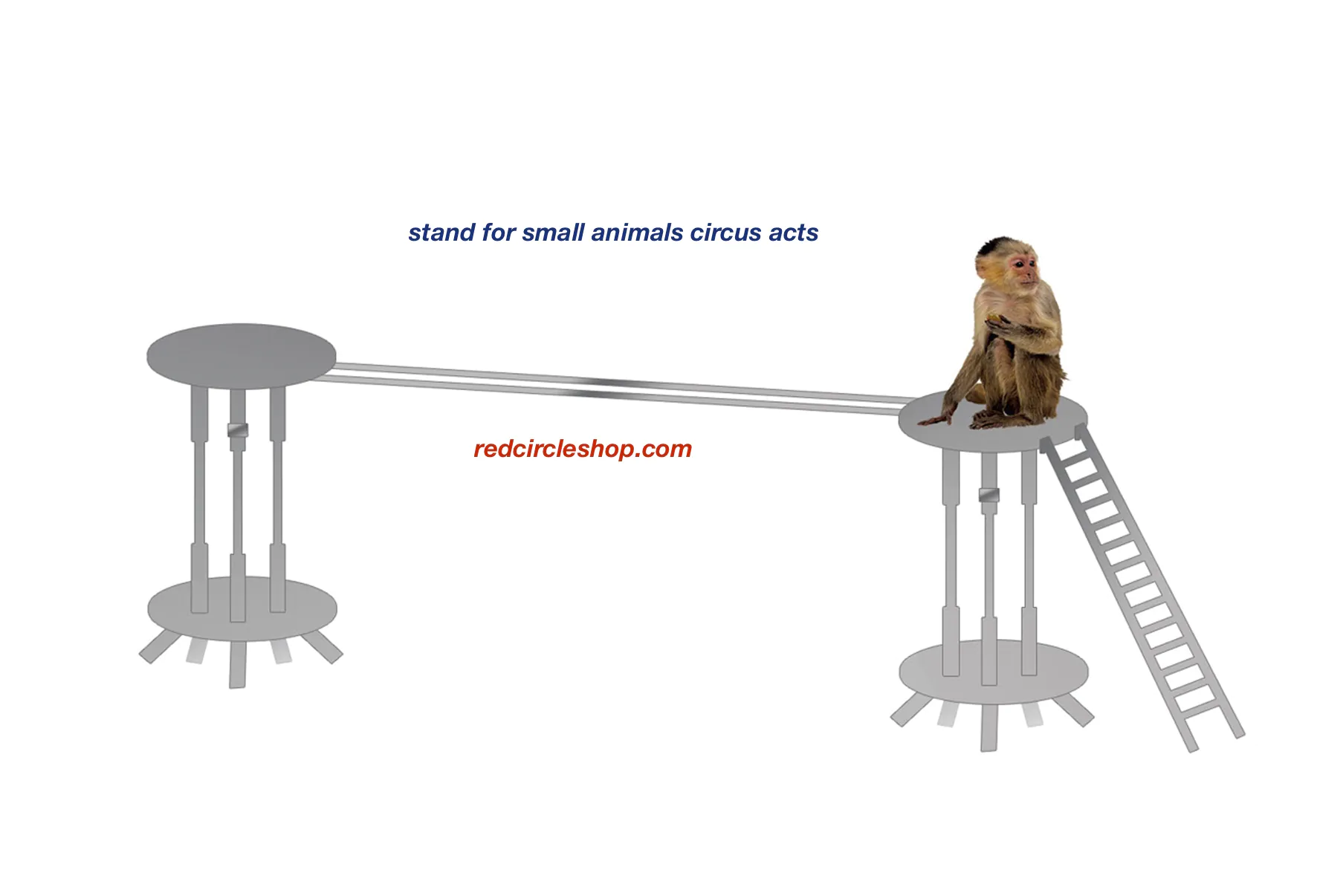 stand_for_small_animals_circus_acts_1.jpg